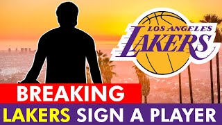 Lakers Roster News LA Adding New Role Player [upl. by Asseniv]