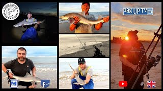 UK Beach Fishing on the Coast at Cleethorpes  Smooth Hound Madness  Sea Fishing Catching on Crab [upl. by Radloff]