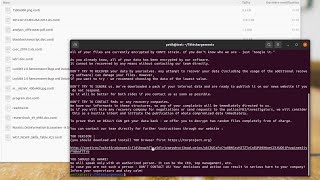 Conti Ransomware on Linux and Windows [upl. by Nauquf]