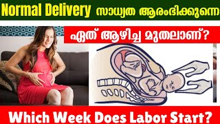 Last Month of Pregnancy Which Week Does Labor Start 3640 weeks Malayalam [upl. by Ainsworth634]