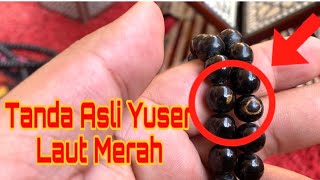 Cara Mengetahui Tasbih Yuser Asli Laut Merah Atau Palsu [upl. by Betty950]