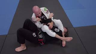 Mounted Armbar by Gracie Charlottesville [upl. by Johnstone]