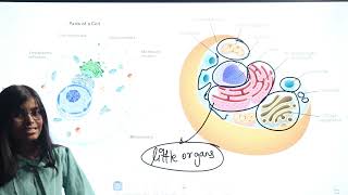 Endoplasmic Reticulum  Cell  Structure and Function  Biology Class 9  RN Glory [upl. by Rugen]