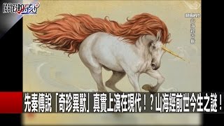 先秦傳說「奇珍異獸」真實上演在現代！？山海經前世今生之謎！馬西屏 劉燦榮 朱學恒 201610284 關鍵時刻 [upl. by Godrich381]