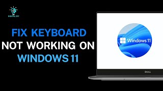 How to Fix Keyboard not Working on Windows 11 [upl. by Assed337]