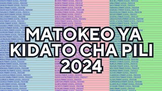 TAZAMA HAPA MATOKEO YA KIDATO CHA PILI 2024NECTA FTNA RESULTS 2024 [upl. by Aninotna131]