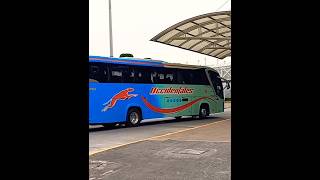 Bonitos Colores Buses occidentales cariamanga [upl. by Moseley668]