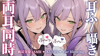 【ASMRKU100】分身した２人が両耳同時に耳ふーで寝かしつけ♡Ear blowing in both ears【沙汰ナキア睡眠導入】 [upl. by Asemaj601]