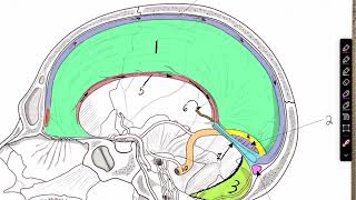 Dural Sinus textbook [upl. by Amilah]