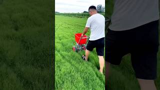 fertilizer spreader to spread fertilizer in the future It is really convenient and fastviralvideo [upl. by Melvena]