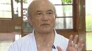 Shorinryu Seibukan History of karate Part 2 23 [upl. by Garrik]