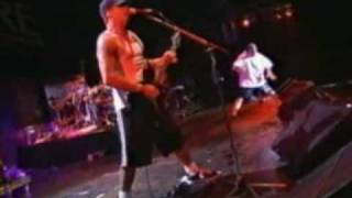 Suicidal Tendencies 01  Intro  You Cant Bring Me Down [upl. by Dajma991]