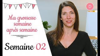 2ème semaine de grossesse – Le test de grossesse [upl. by Cleodell]