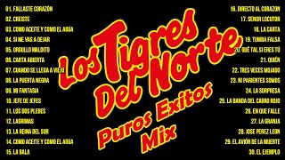 2 Hora De Puros Corridos De Los Tigres Del Norte Éxitos  Los Tigres Del Norte Mix 2024 Pa Pistear [upl. by Niwri]