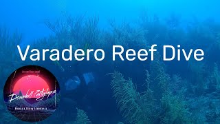 Scuba Diving Reef  Varadero Cuba [upl. by Eicyak]