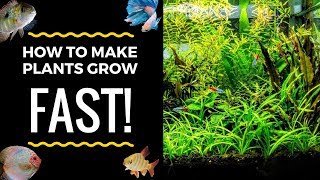 HOW TO MAKE AQUARIUM PLANTS GROW FASTER [upl. by Atinna321]