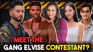 Roadies 20 ELVISE GANG All Contestants Names With Proof  Meet All gang Members Name With Photo [upl. by Alisia]