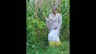 marjani jhanjhar bol padishortsviralvideoshortsfeedytubesubscribe [upl. by Amick]