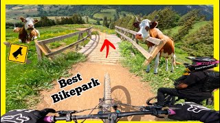 Best Bikepark EVER  Wiriehorn Weryhorny Trail😱💯  GoPro 11 [upl. by Portland63]