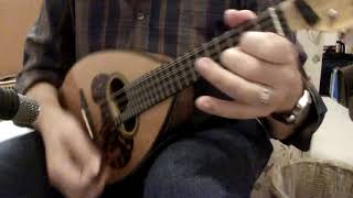 My Looper and my Mandolin  Easy Mandolin Blues in G [upl. by Tabbatha203]