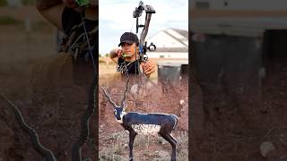 Have you ever shot a hinge releasemathewsarchery archery bowtech hoyt hoytarchery bowhunting [upl. by Bridget]