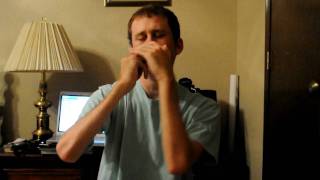 How to Play Moondance  Van Morrison on Harmonica [upl. by Theurer]