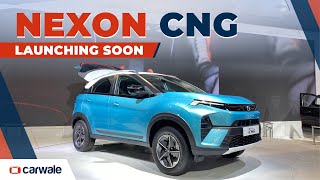 Tata Nexon CNG  Turbo Petrol SUV with Low Running Costs  Bharat Mobility Expo 2024 [upl. by Ahsit]