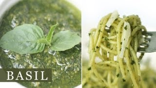 Basil Pesto Pasta Sauce Recipe 바질 페스토 파스타 소스 만들기 [upl. by Navillus]