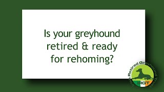 How to rehome your Retired Racing Greyhound [upl. by Hedwig691]