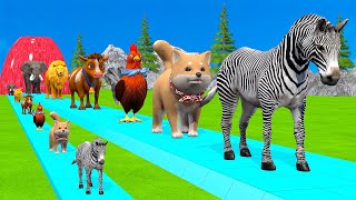 Paint amp Animals CowGorrilaElephantSheepDeerTigerLion Fountain Crossing Transformation Cartoon [upl. by Lantz306]