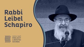 Vol 20  Vayera 3  Rabbi Leib Schapiro [upl. by Eladal457]