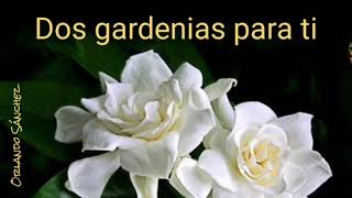 Dos gardenias para ti [upl. by Gnem]