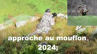 chasse aux mouflons 2024 [upl. by Ragas]