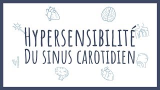 Sémiologie Cardiaque  Hypersensibilité du sinus carotidien [upl. by Vanthe]