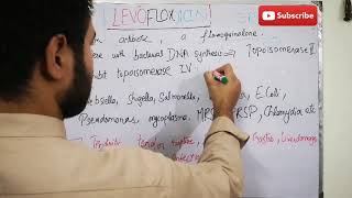 Levofloxacin uses mechanism and side effects [upl. by Hcir]