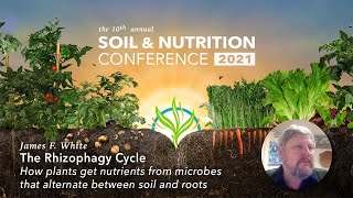 James F White  The Rhizophagy Cycle How plants get nutrients from microbes [upl. by Mayeda]