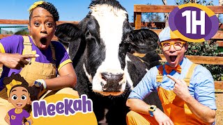 Meekah and Blippis Farm Animal Fun  Educational Videos for Kids  Blippi and Meekah Kids TV [upl. by Tory773]