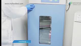 MicroFast® Yeast amp Mold Count Plate Operation Video [upl. by Ineslta985]