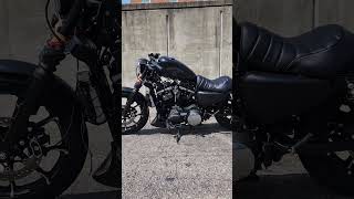 Harley Davidson Sportster Iron 883 Exhaust [upl. by O'Doneven]