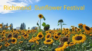 Richmond Sunflower Festival Richmond BC Canada [upl. by Alenas]