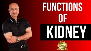 Functions of Kidneys  Physiology and Structure  Dr Najeeb [upl. by Georgi473]