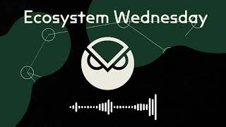 Gnosis Ecosystem Wednesday with Stereum [upl. by Eada578]