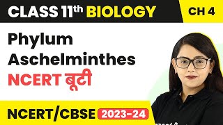 Phylum Aschelminthes  NCERT बूटी  Animal Kingdom  Class 11 Biology Chapter 4  NCERTCBSE [upl. by Vashtee]