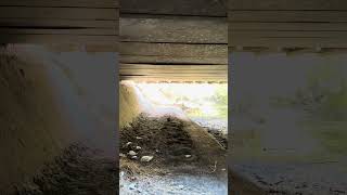 Walking under Matadero Creek beneath highway 101 [upl. by Jermayne]