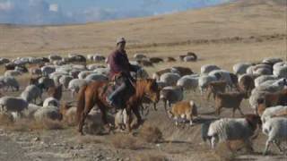 Javkhlan Bi Mongol Hun Mongolian song [upl. by Donoho26]