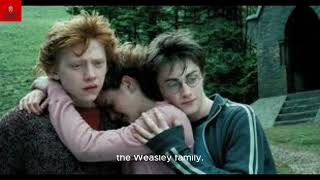 quotBreaking Down Harry Potter and the Prisoner of Azkaban The Turning Point of the Seriesquot [upl. by Libbi]