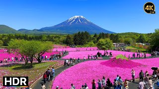 Walking around Mt Fuji  Fujikawaguchiko • 4K HDR [upl. by Debarath]