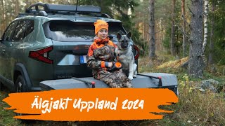 Älgjakt Uppland 2024 4K [upl. by Foushee]