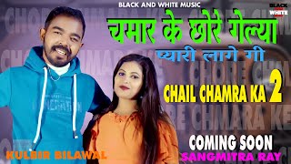 Chail Chamara Ka 2 Viral Dummy  Jatav Song [upl. by Haze]