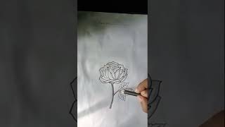 Rose pencil Art ll please subscribe my channel [upl. by Ainegul]